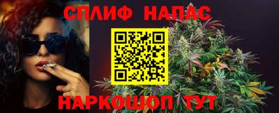 дживик Ливны