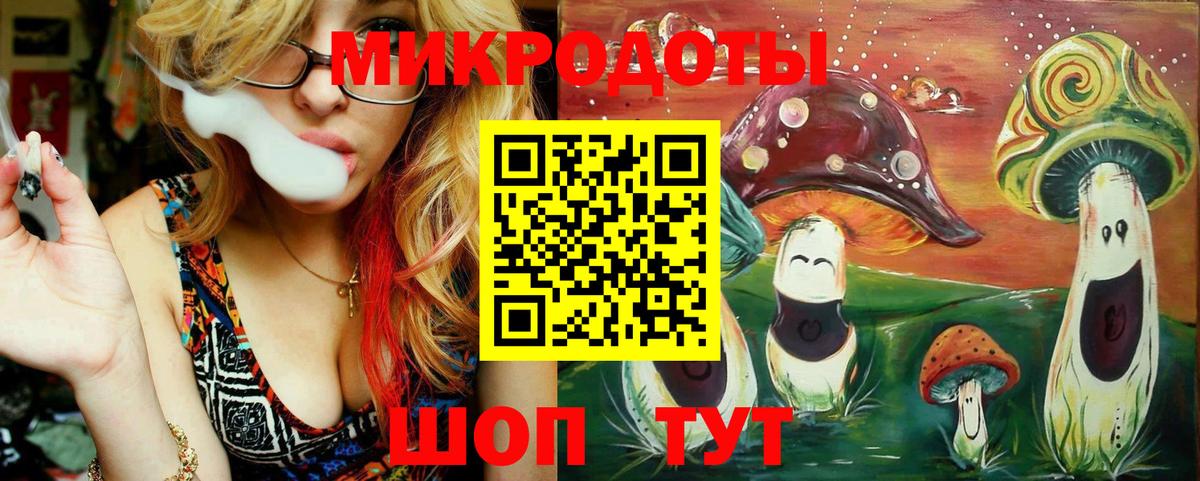 Галлюциногенные грибы GOLDEN TEACHER  Галлюциногенные грибы Psilocybe  где купить наркоту  Кашира  Вход с VPN 